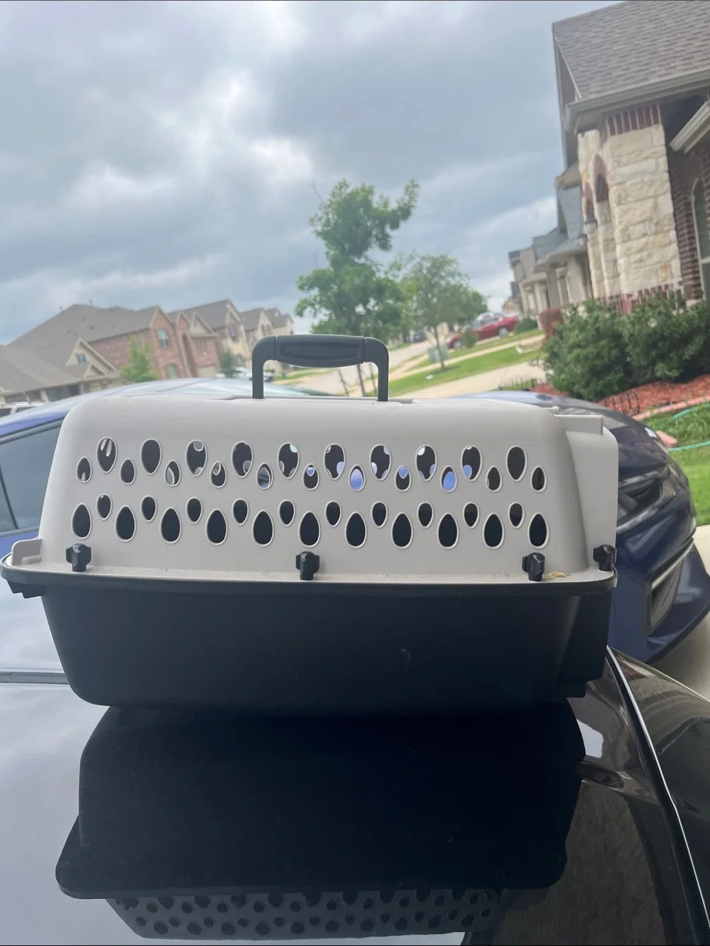 DONATED Two-Tone Plastic Pet Carrier with Ventilation Holes